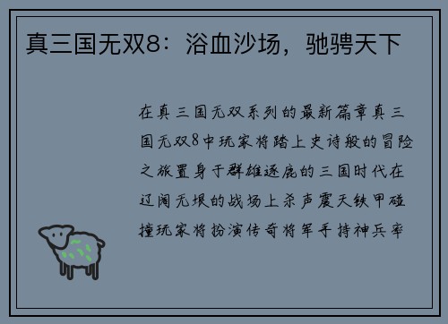 真三国无双8：浴血沙场，驰骋天下